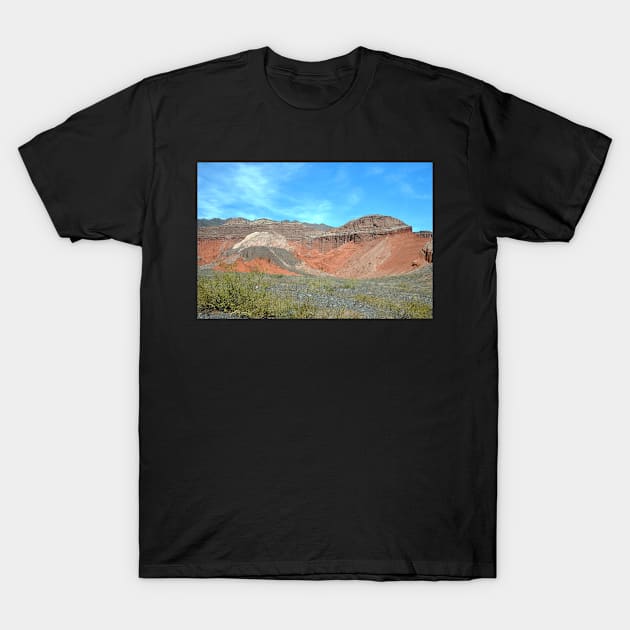 Argentine - Quebrada de las Conchas T-Shirt by franck380